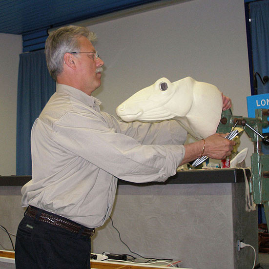2006-meder